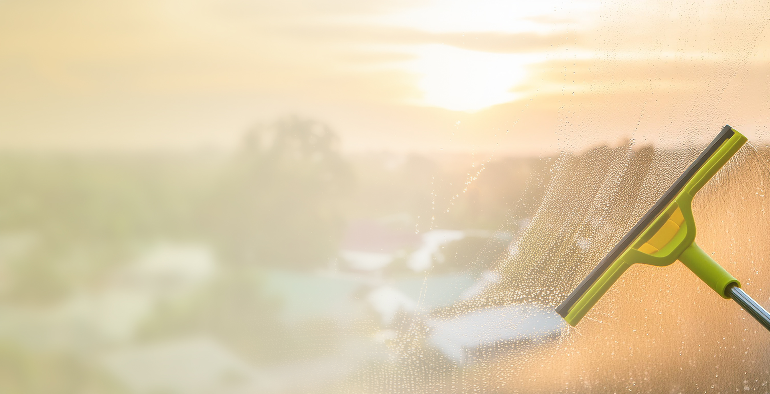 Professional cleaning services